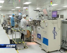 緊扣一體化，推動高質(zhì)量 晶科微電子的全方位深層次接軌上海之路